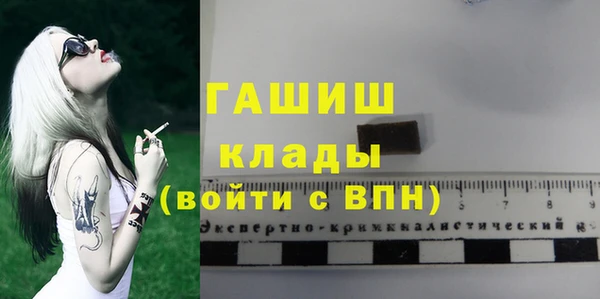 стаф Ельня