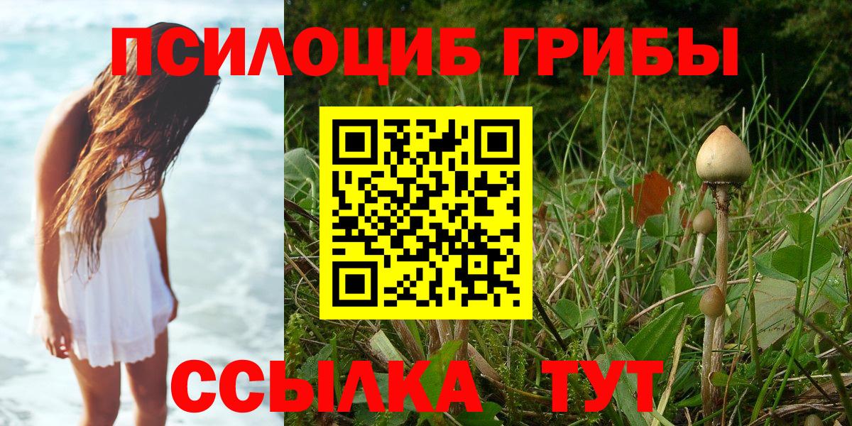 Псилоцибиновые грибы мицелий Гулькевичи
