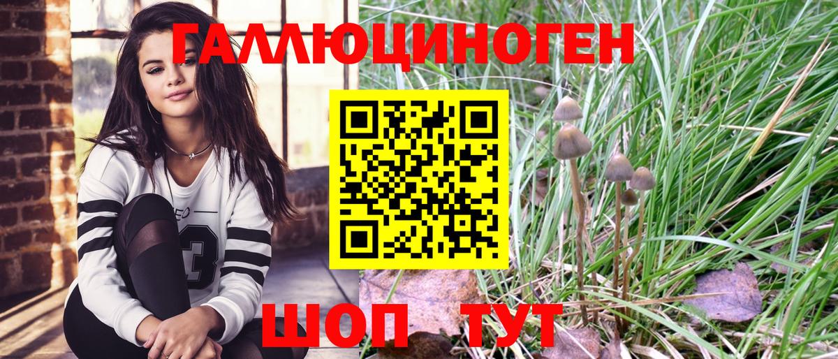 Галлюциногенные грибы мухоморы Гулькевичи