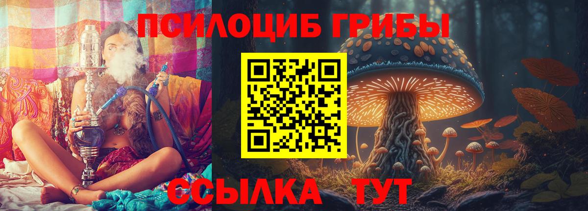 Гулькевичи  Псилоцибиновые грибы Psilocybe  Вход с VPN 