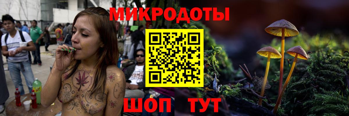 Галлюциногенные грибы Psilocybine cubensis  Гулькевичи 